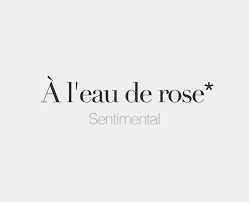 Sentimental French Words Quotes French Words French Flashcards