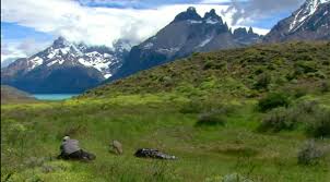 Consultez le programme pmu, les cotes des courses hippiques, les pronostics, les résultats pmu et l'analyse des courses. Avis Sur 66 Minutes En Patagonie Reportage Le 05 06 Actualite Tv Nouveautes Tele Com