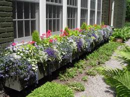 Window boxes add personality and color to a house or deck. How To Plant A Rockin Window Box The Impatient Gardener
