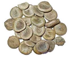 Image result for Strychnos