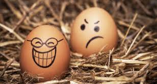All living organisms in the world can be classified as either an autotroph or heterotroph. Organic Free Range Where Did Your Box Of Eggs Really Come From