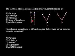 Definition Of Paralog Ortholog Homolog Youtube