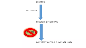 Image result for Hereditary Fructose Intolerance