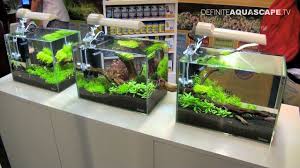 See more ideas about aquarium design, aquarium, fish tank. Aquascaping Aquarium Ideas From Aquatics Live 2011 Part 1 Youtube