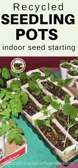 Containers For Seed Starting Seedlings Indoors Starting Seed Starting Seedling Pots