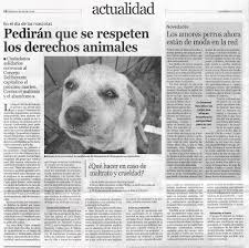 Resultado de imagen para noticias  de animales