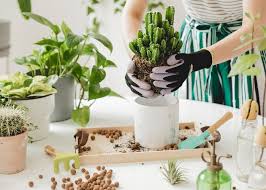 Decorative your front door flower pots ideas. How To Get Plants And Flowers Delivered To Your Front Door