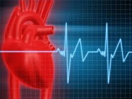 Detak jantung normal adalah antara 60 dan 100 denyut per menit (beats per minute), saat beristirahat. Degupan Jantung Tidak Menentu Ketika Hamil Dr Zubaidi Hj Ahmad Menulis