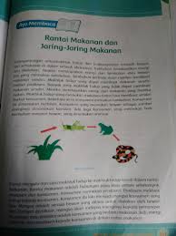 Kelas makanan dan fungsinya blank. Kelas 5 Tema 5 Halaman 101 102 1 Apakah Pengertian Jaring2 Makanan 2 Darimanakah Tumbuhan Brainly Co Id