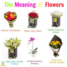Whether they are a significant other or. Love Orchid Flower March 2011