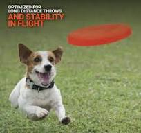 6-inch Dog Frisbee Small Lightweight and Durable Frisbee for Dogs Made in  USA Bright Colored Frisbee Dog Toy (Orange)
