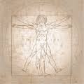 Leonardo da vinci's famous the vitruvian man was based on the writings of the ancient roman architect vitruvius, who correlated the measurements and design of the human. Category Vitruvian Man By Leonardo Da Vinci Wikimedia Commons