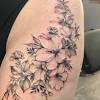 98 pac candy flowers violet. Https Encrypted Tbn0 Gstatic Com Images Q Tbn And9gcrr3gfmctcrvqfgbmzveqbkstcxmjrfb6yh9vtvrtantbqwjjgn Usqp Cau
