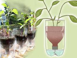 Jun 02, 2021 · tomato growing trick 9: 8 Ways To Grow In Coke Bottles Garden Culture Magazine