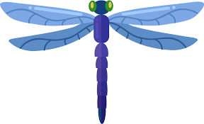 Maybe you would like to learn more about one of these? Dragonfly Clipart Free Download Transparent Png Creazilla