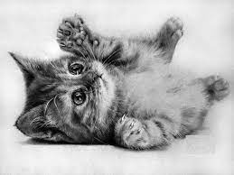 10 Dibujos A Lapiz Grafito Dibujos A Lapiz Dibujos A Lapiz Grafito Animales Dibujados A Lapiz Dibujos De Animales Realistas Dibujo para dibujar a lapiz descargarimagenes com. dibujos a lapiz grafito