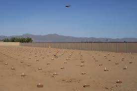 Links to cactus information, cactus nurseries, and personal sites with a brief description of site contents. Exceptionally Deadly 2020 For Homeless People In Phoenix Area