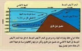 تعد ظاهرة مرج البحر من الظواهر الكونية العجيبة التي ذكرت في القرأن الكريم منذ سنوات عديدة ويتضح ذلك في قول الله تعالى في كتابه العزيزمَرَجَ الْبَحْرَيْنِ. Ù…Ø±Ø¬ Ø§Ù„Ø¨Ø­Ø±ÙŠÙ† ÙŠÙ„ØªÙ‚ÙŠØ§Ù† Ø¨ÙŠÙ†Ù‡Ù…Ø§ Ø¨Ø±Ø²Ø® Ù„Ø§ ÙŠØ¨ØºÙŠØ§Ù† Ø§Ù„ÙŠÙƒÙ… Ø§Ù„Ø³Ø¨Ø¨