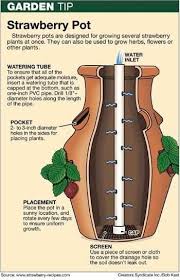 Maybe you would like to learn more about one of these? Http Pinterest Com Asmile4u Gardening Ideas And Via Facebook Http Www Facebook Com Curiositiesbydickens Re Strawberry Pots Garden Containers Plants