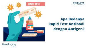 Antigen tests look for pieces of proteins that. Apa Bedanya Rapid Test Antibodi Dan Swab Antigen Primaya Hospital