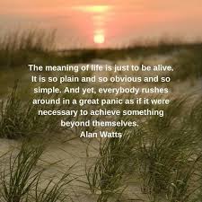 Alan Watts On The Meaning Of Life Self Compassion Meaning Of Life Life