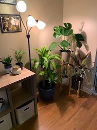 How do you “bottom water”? I see a lot of posts mentioning that.