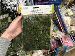 And having some type of counterfeit detector pen at the point of sale would be great. Floral Moss From Dollar Tree Dollar Tree Crafts Dollar Tree Crafts