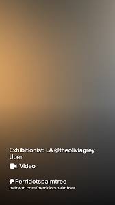 PalmTreePerridot - Public Nudity with St4cy - Videos Revealed