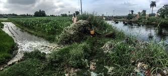 In malaysia, the marine water quality is monitored by the department of environment (doe) in peninsular malaysia since 1978 and 1985 in sabah and sarawak. Toxic Water Toxic Crops India S Public Health Time Bomb Circle Of Blue