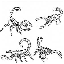 Color in this picture of an scorpio and others with our library of online coloring pages. Printable Scorpion Coloring Pages For Kids Coloringbay