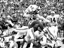 Image result for Dark Auburn 1982 Dodge