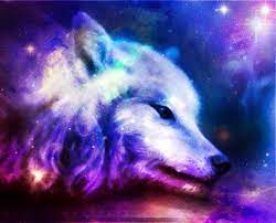 Share your favorite wolf pictures with your friends. Cool Galaxy Wolf Backgrounds Novocom Top