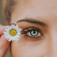 The services a hair salon offers vary greatly by location. Eyebrow Waxing Near Me Lemon Tree Hair Salon