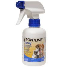 Pin On Cat Food And Cat Care