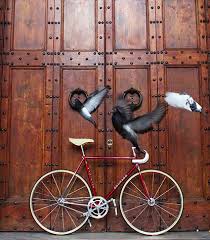 fixie fix おしゃれまとめの人気アイデア pinterest worrapob parboonpasent ピストバイク 自転車 ピスト