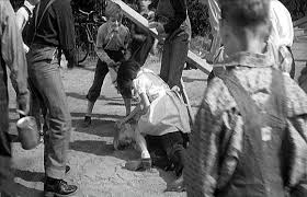 Pin On To Kill A Mockingbird