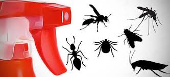7 Recettes Naturelles Qui Marchent Pour Faire Fuir Les Insectes Maison Remedes De Grand Mere Recette En 2020 Repulsif Insectes Maison A Insecte Moustique