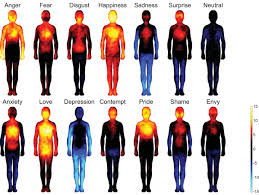 where we feel emotions in our body mapped on a chart the