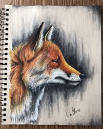 Pin By Al On Drawings Fox Drawing Fox Painting Realistic Pencil Drawings