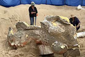 Facing directly from west to east, it stands on the giza plateau on the west bank of the nile in giza, egypt.the face of the sphinx appears to represent the pharaoh khafre. Seltsame Entdeckung In Kalifornien Archaologen Finden Sphinx Kopf Am Strand Gt Gottinger Tageblatt