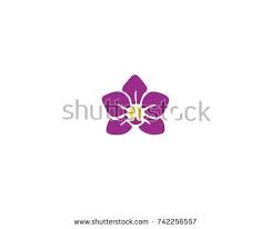 Orchid Vector Flower Isolated On White Background Vector Flowers Orchids Flowers