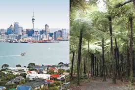 Plan your trip to auckland. Auckland City Tour And Nature Tour With Bush And Beach