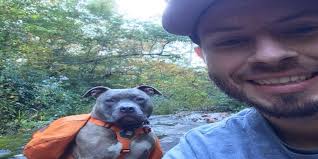 Chesterfield couple plans tribute to their dog that died in house fire