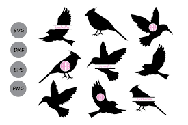 • to access download click here! Birds Svg Cut Files Birds Monogram Svg Hummingbirds Svg 85318 Cut Files Design Bundles