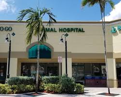 Read verified and trustworthy customer reviews for companion animal hospital or write your own review. Home