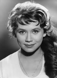 Sonny-Boyd (TV Series 1962– )