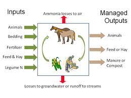 Managing Horse Manure For Environmental Benefits