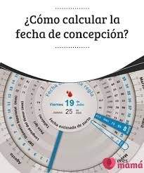 Como Calcular La Fecha De Concepcion Eres Mama Etapas Del Embarazo Fechas Post Embarazo