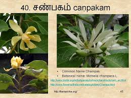 Slide45 In 2020 Flower Names Botanical Flowering Trees