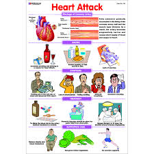 Chart No 133 Heart Attack